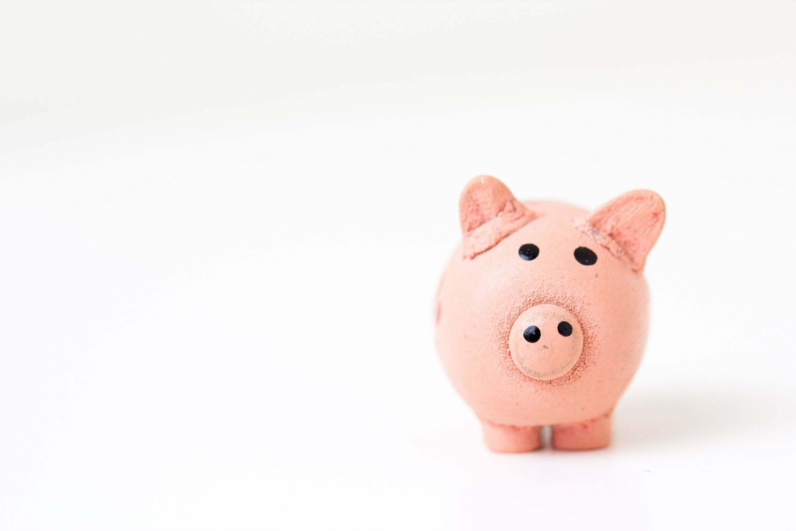 Header Image of Piggy Bank